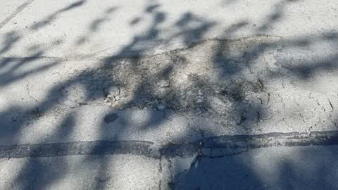 Roading/Streets, a report photo