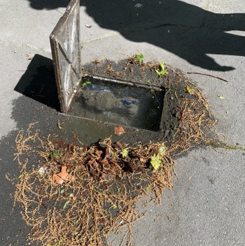 The photograph attached to this water supply report