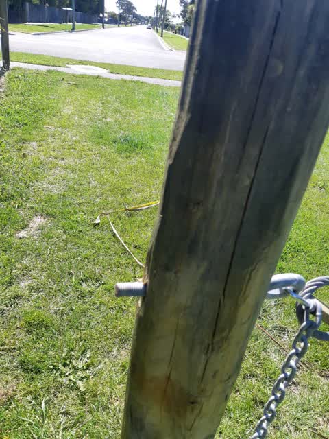 Parks, a report photo