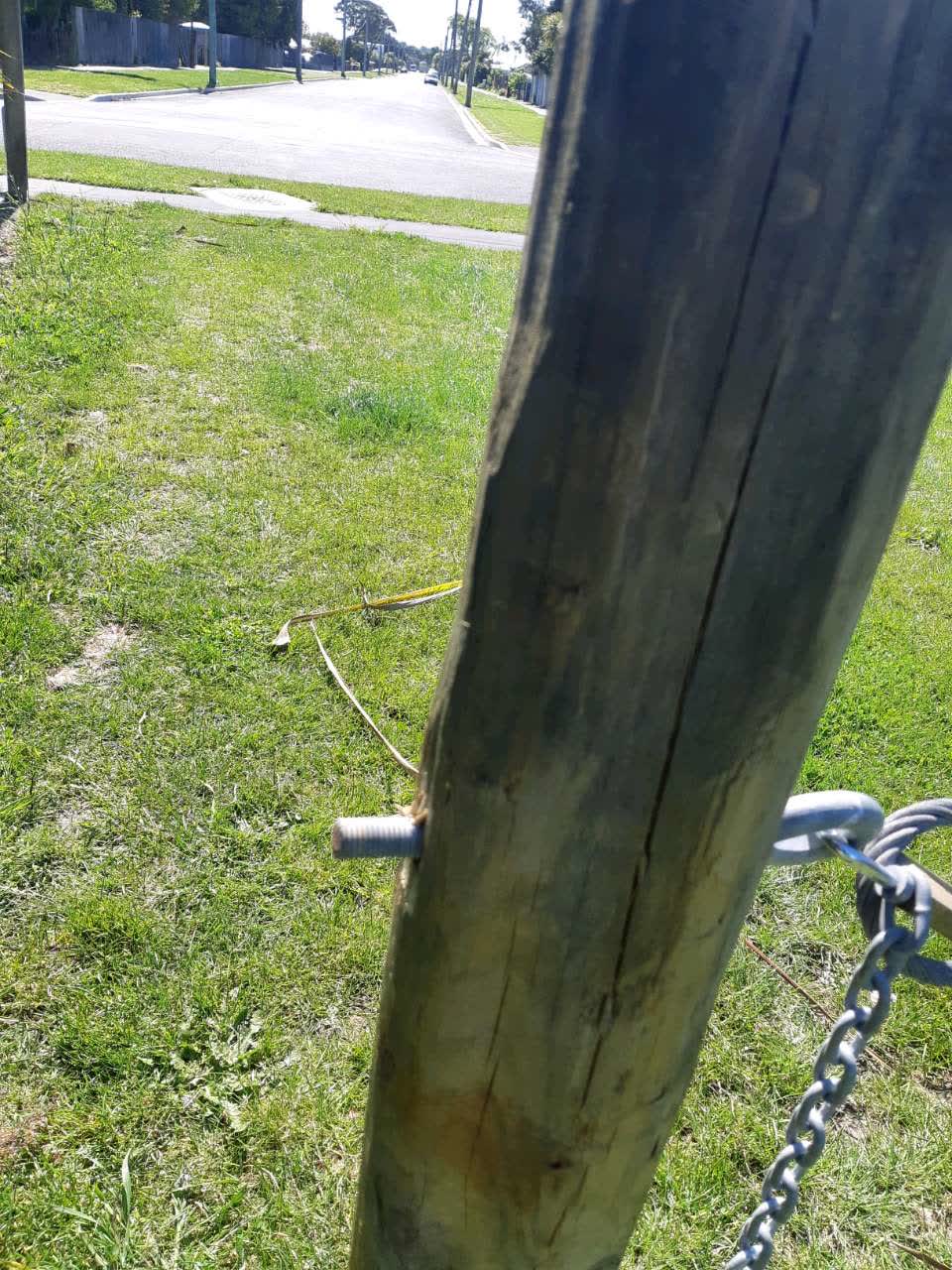The photograph attached to this parks report