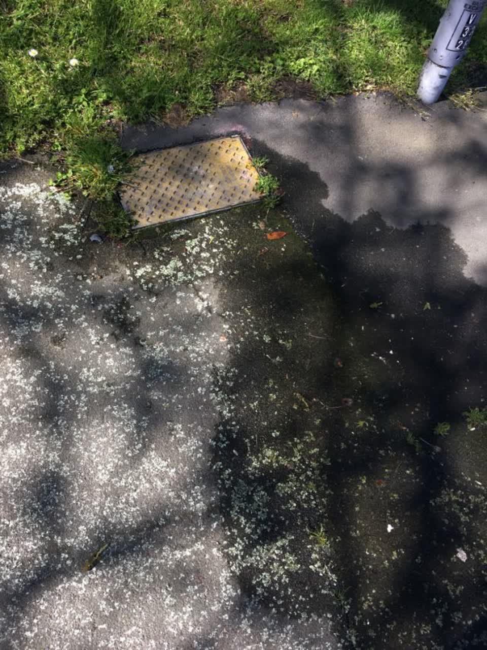 The photograph attached to this water supply report