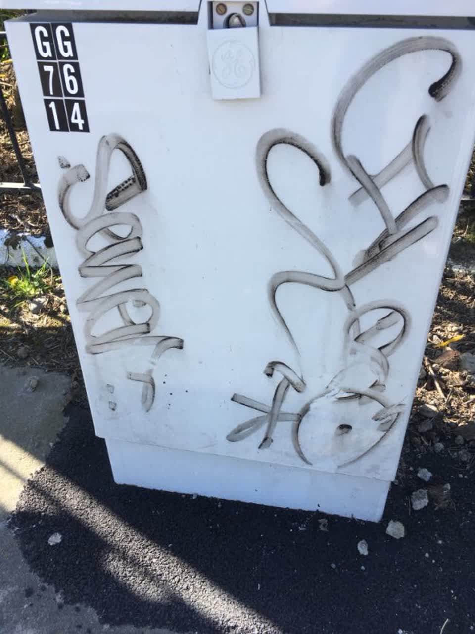 The photograph attached to this graffiti report