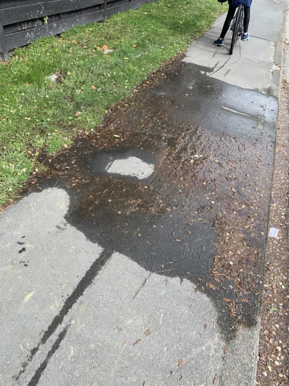 The photograph attached to this water supply report
