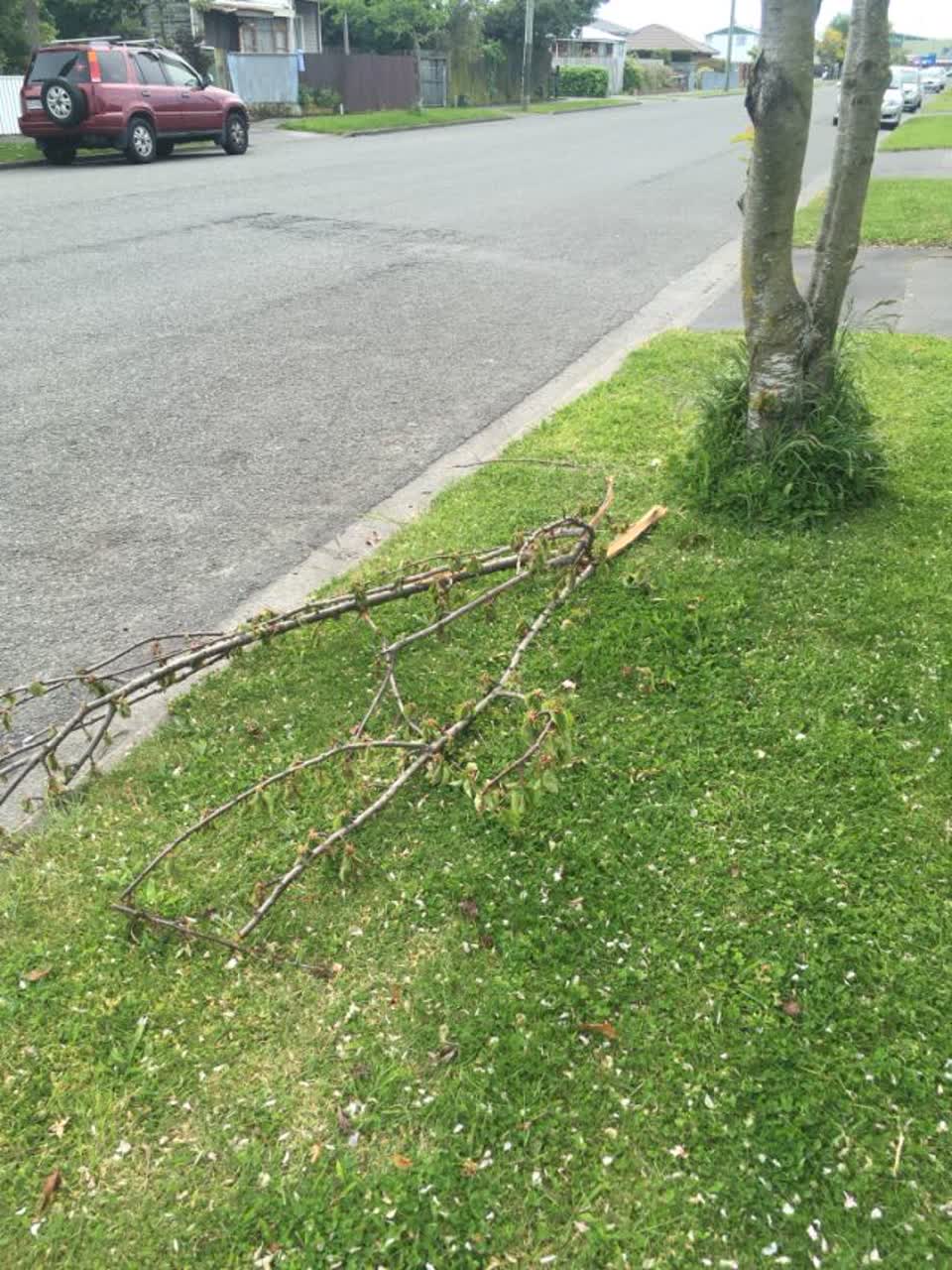 The photograph attached to this rubbish/recycling report
