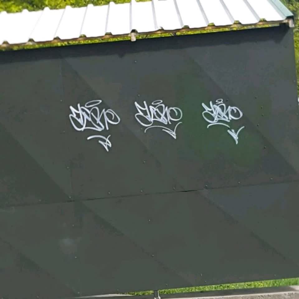 The photograph attached to this graffiti report