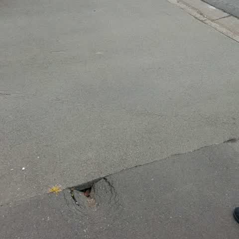 Roading/Streets, a report photo