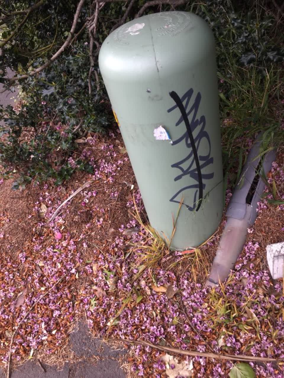 The photograph attached to this graffiti report