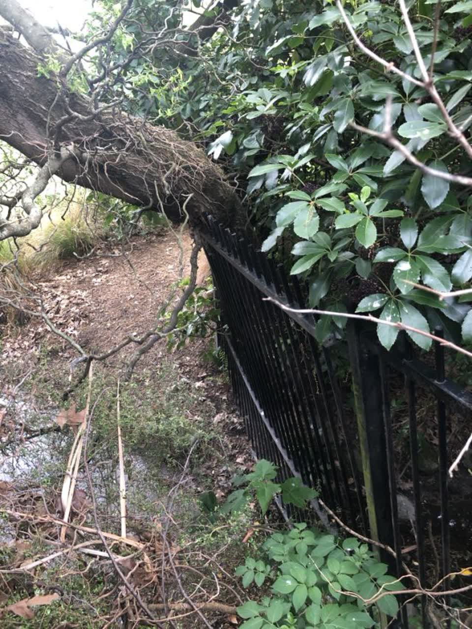 The photograph attached to this parks report