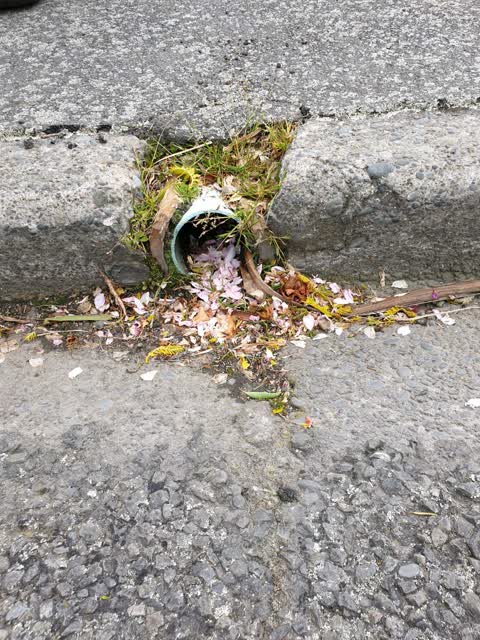 Roading/Streets, a report photo