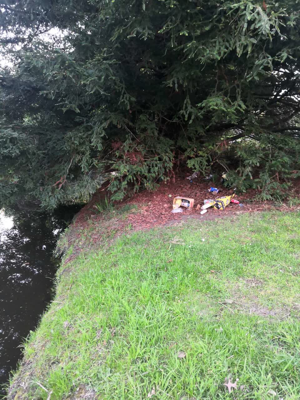 The photograph attached to this rubbish/recycling report