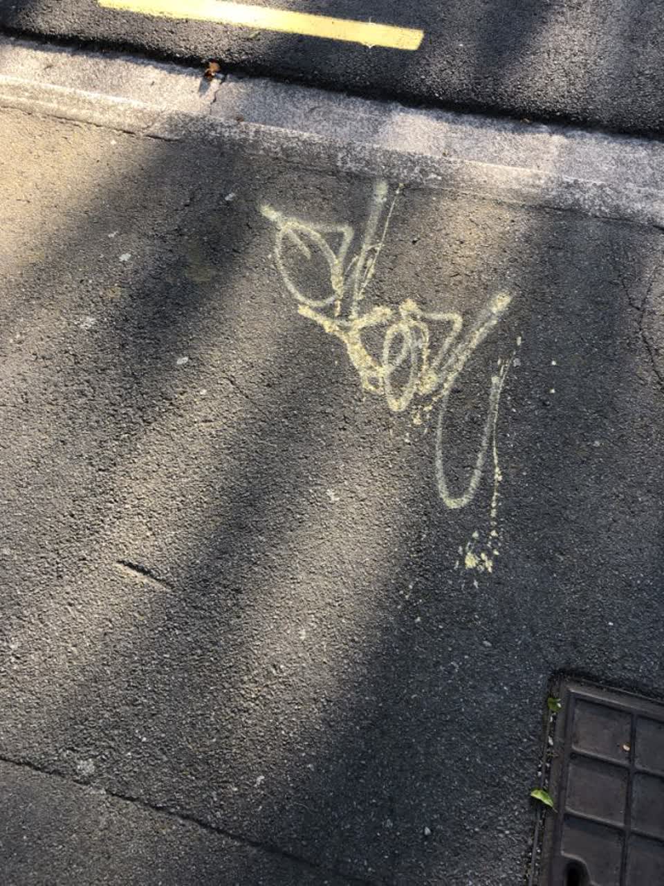 The photograph attached to this graffiti report