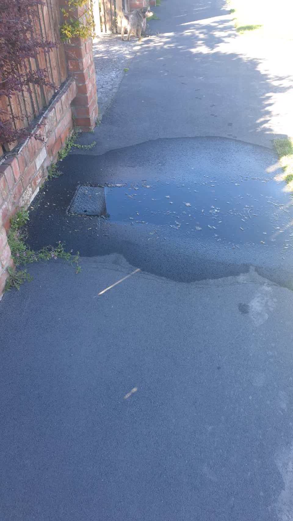 The photograph attached to this water supply report