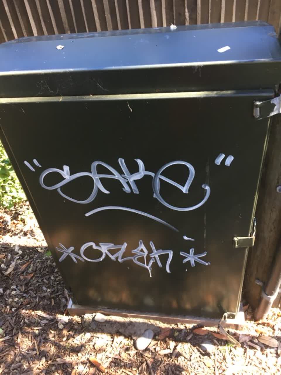 The photograph attached to this graffiti report