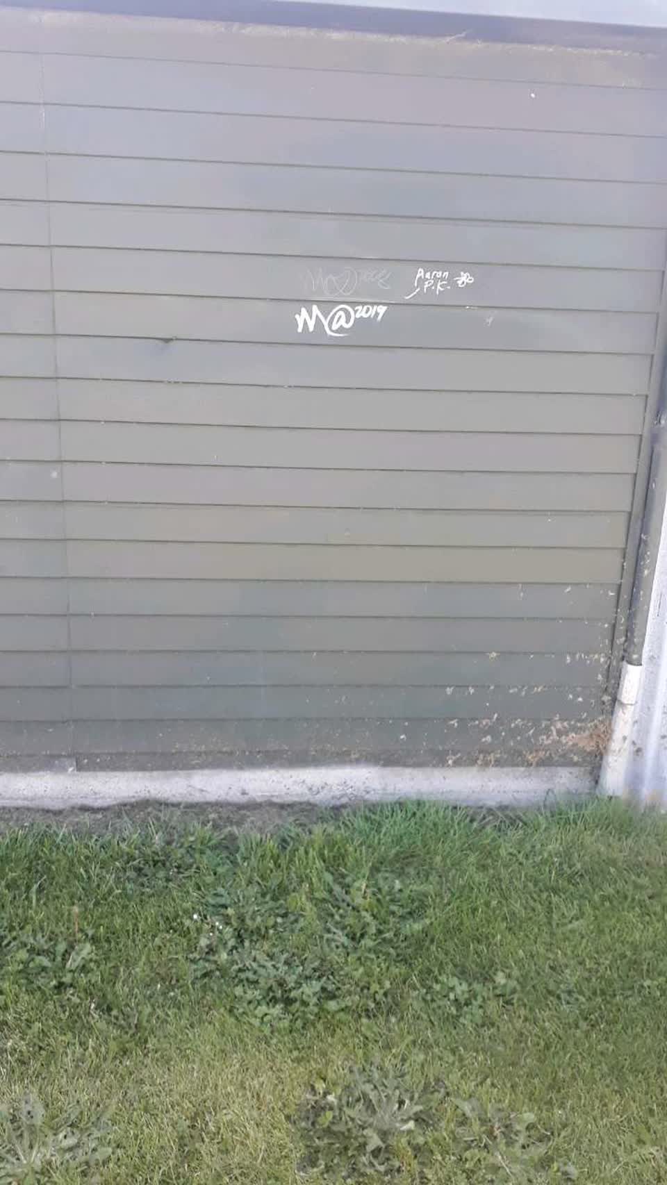 The photograph attached to this graffiti report
