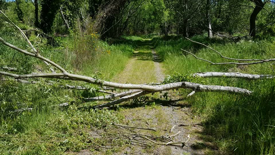 The photograph attached to this parks report