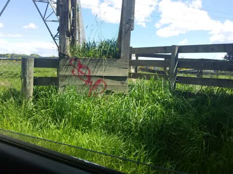 Graffiti, a report photo