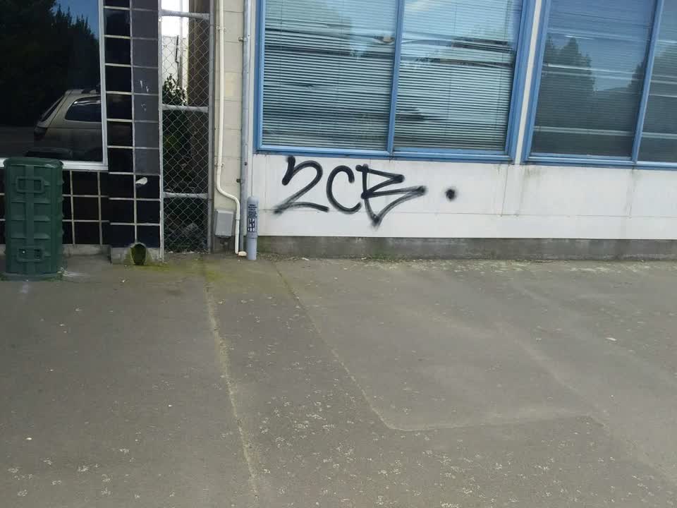 The photograph attached to this graffiti report