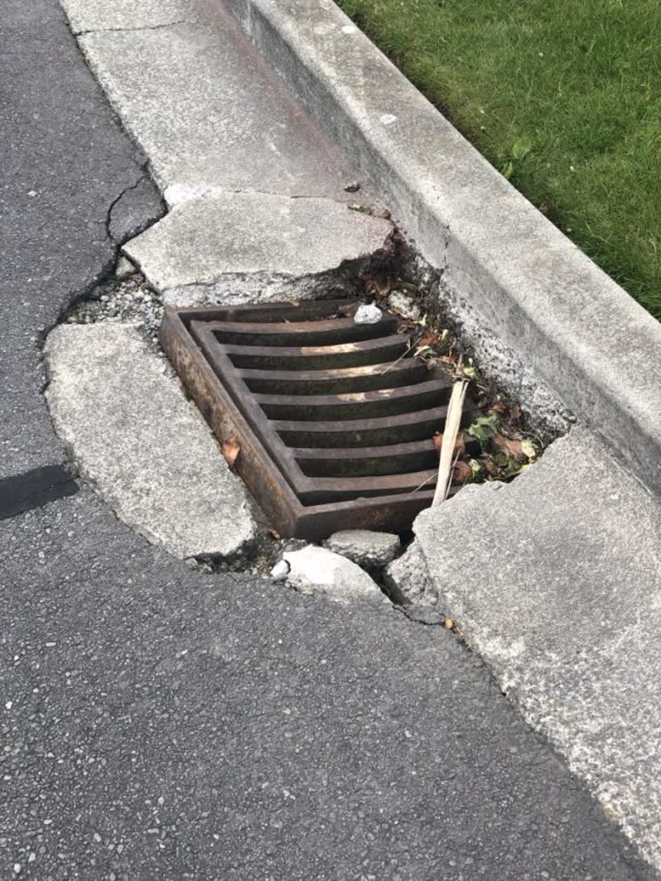 The photograph attached to this roading/streets report