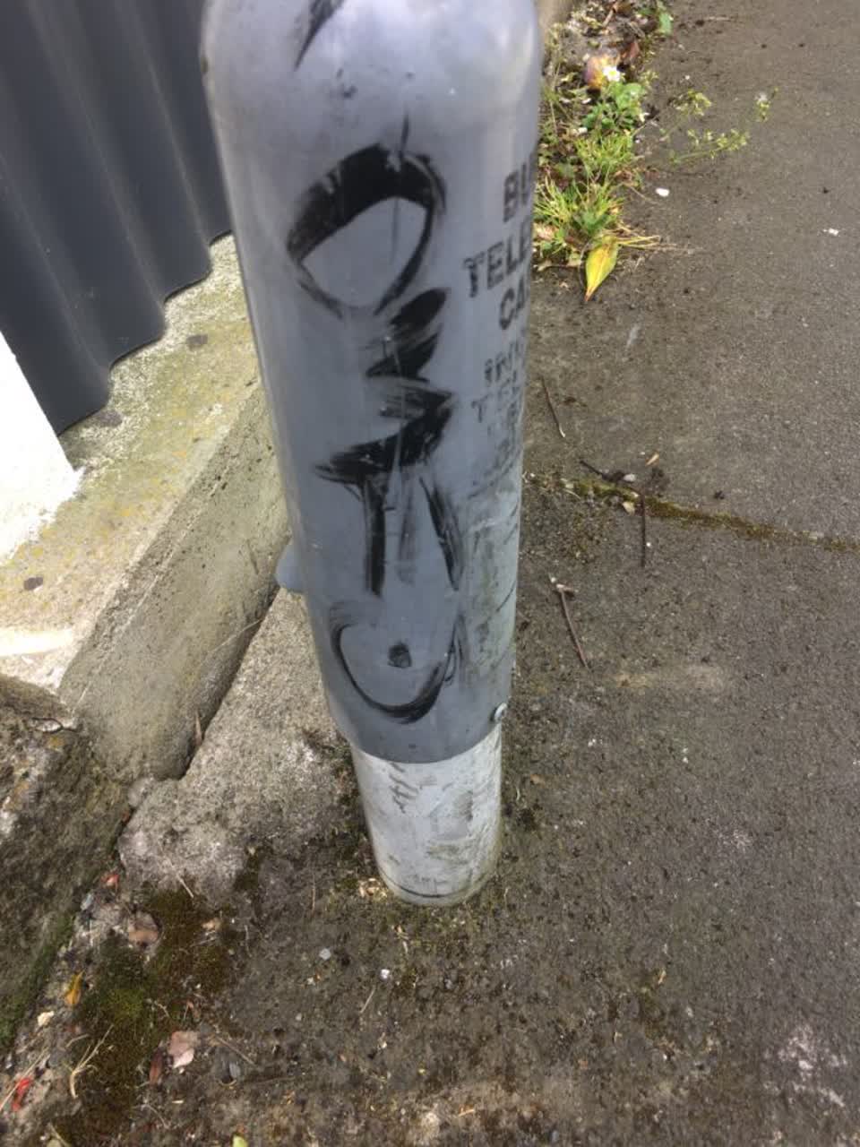 The photograph attached to this graffiti report