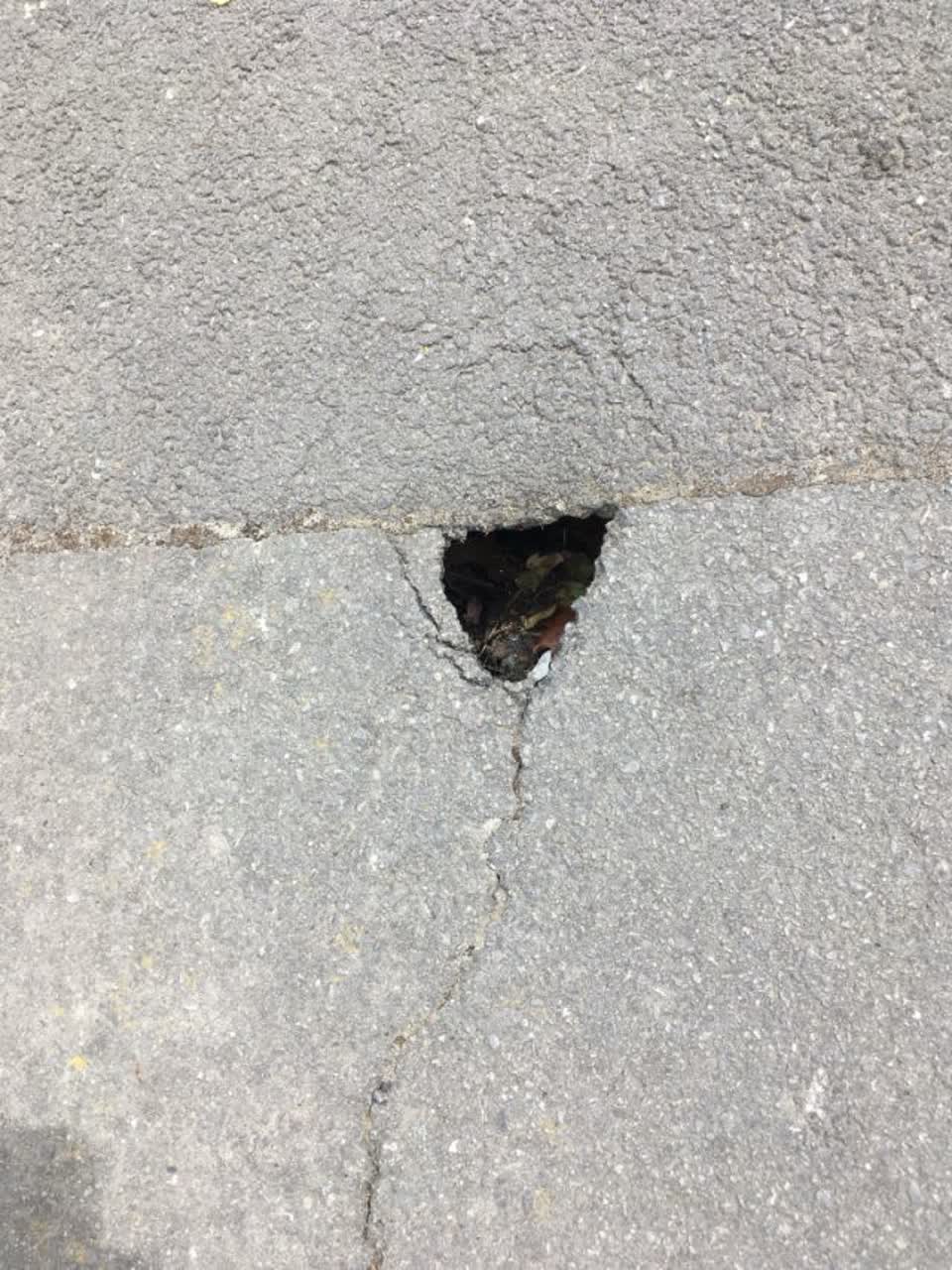 The photograph attached to this roading/streets report