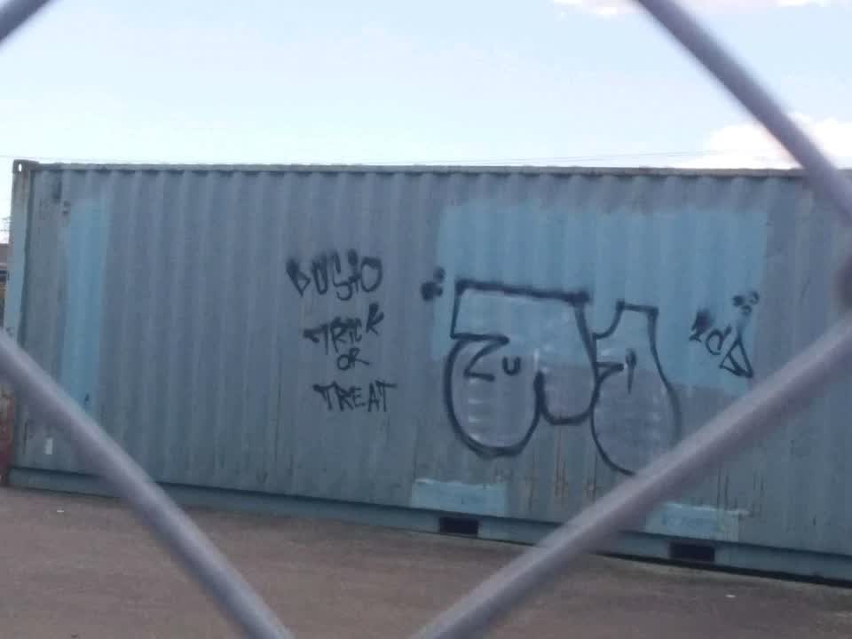 The photograph attached to this graffiti report