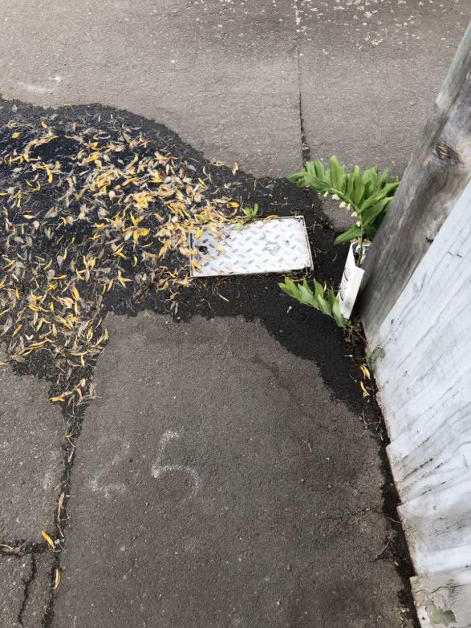 The photograph attached to this water supply report