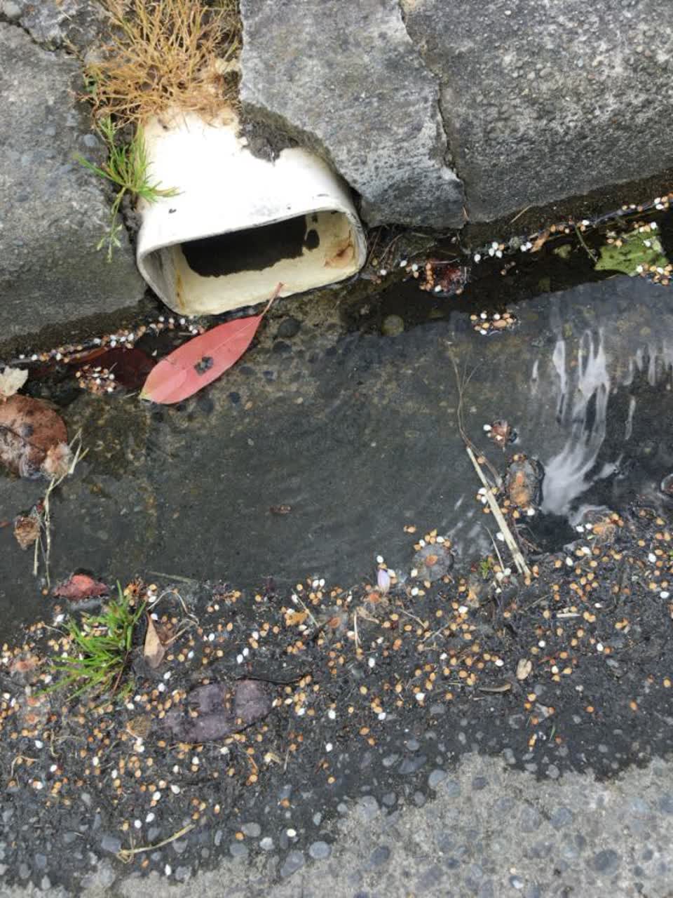 The photograph attached to this roading/streets report