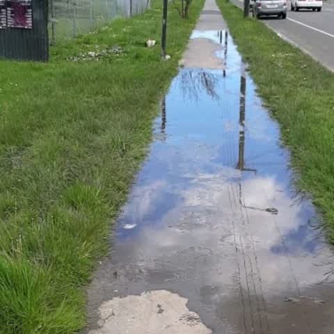 Water Supply, a report photo