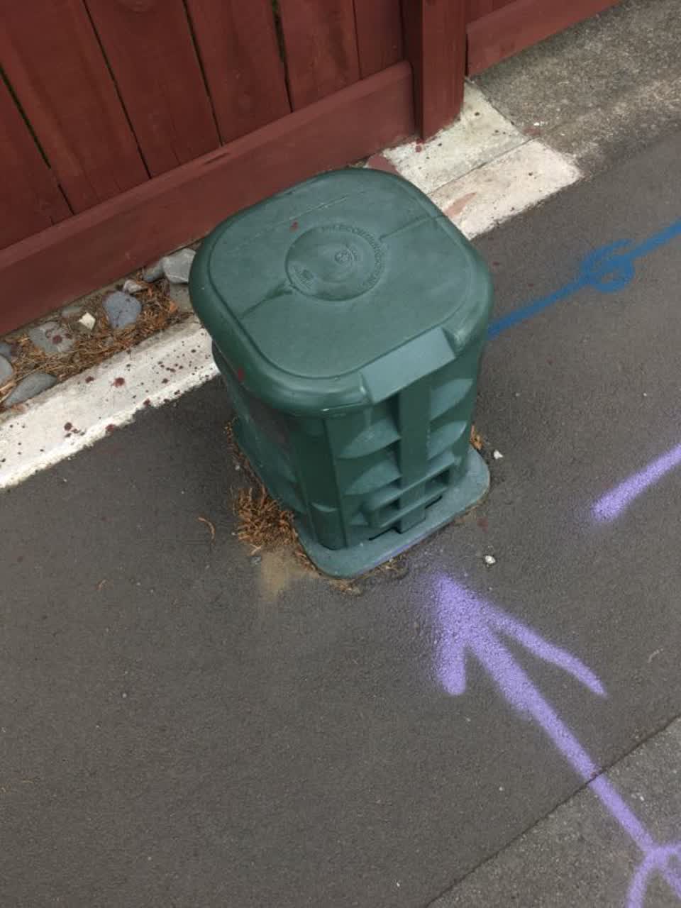 The photograph attached to this roading/streets report