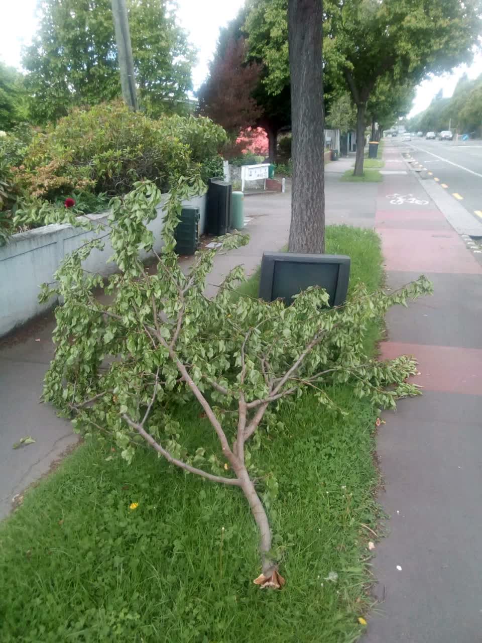 The photograph attached to this roading/streets report