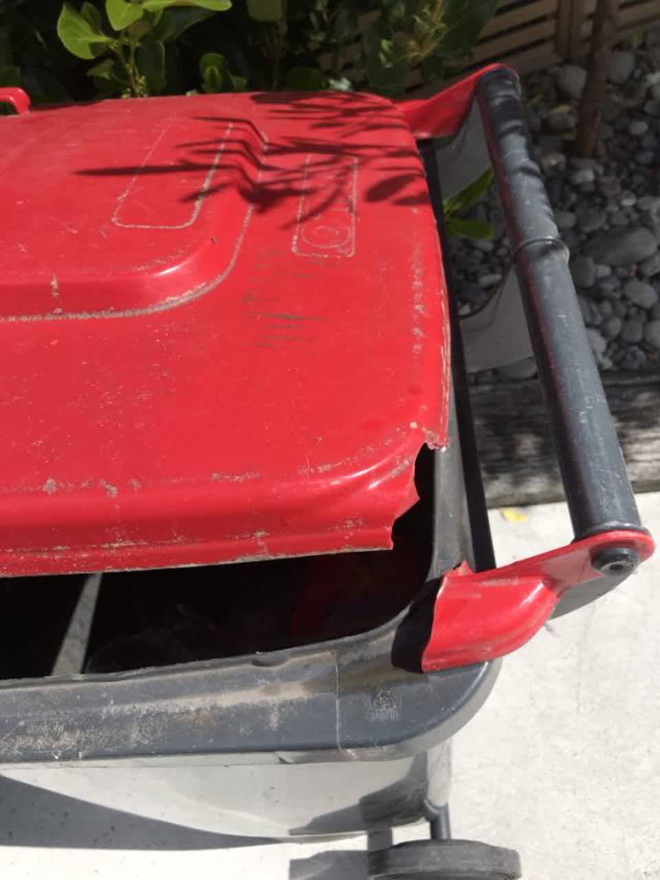 The photograph attached to this rubbish/recycling report