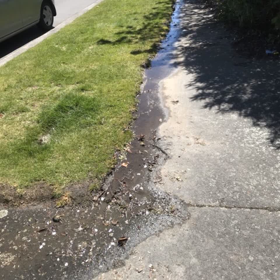 The photograph attached to this water supply report
