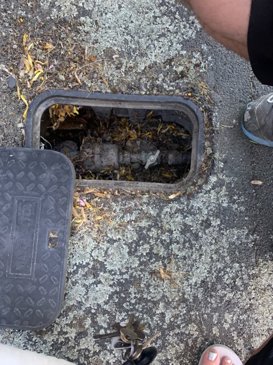 The photograph attached to this water supply report