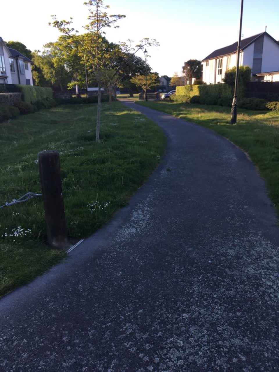 The photograph attached to this parks report