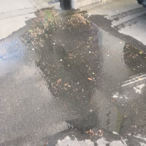 Water Supply, a report photo