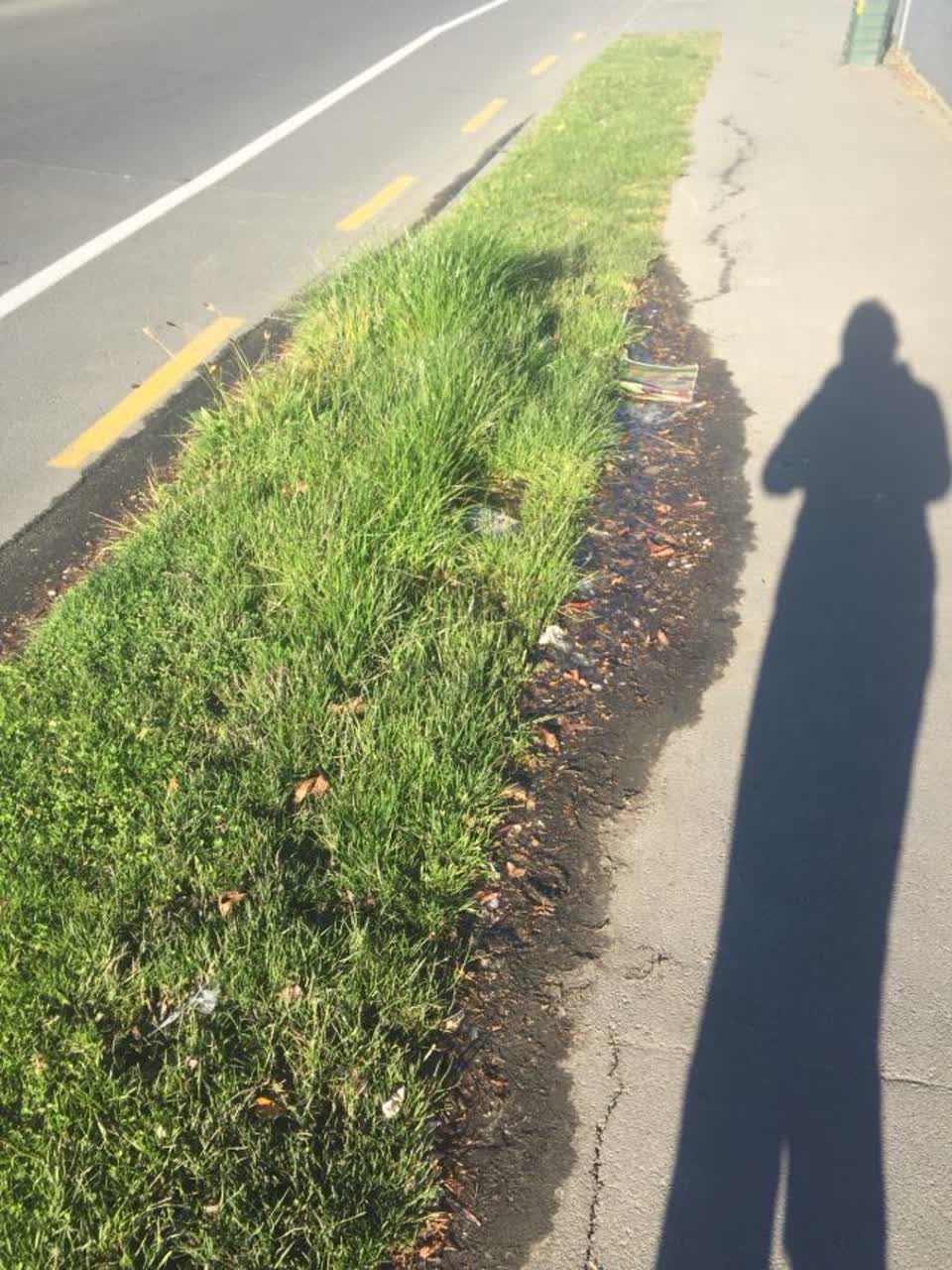 The photograph attached to this water supply report