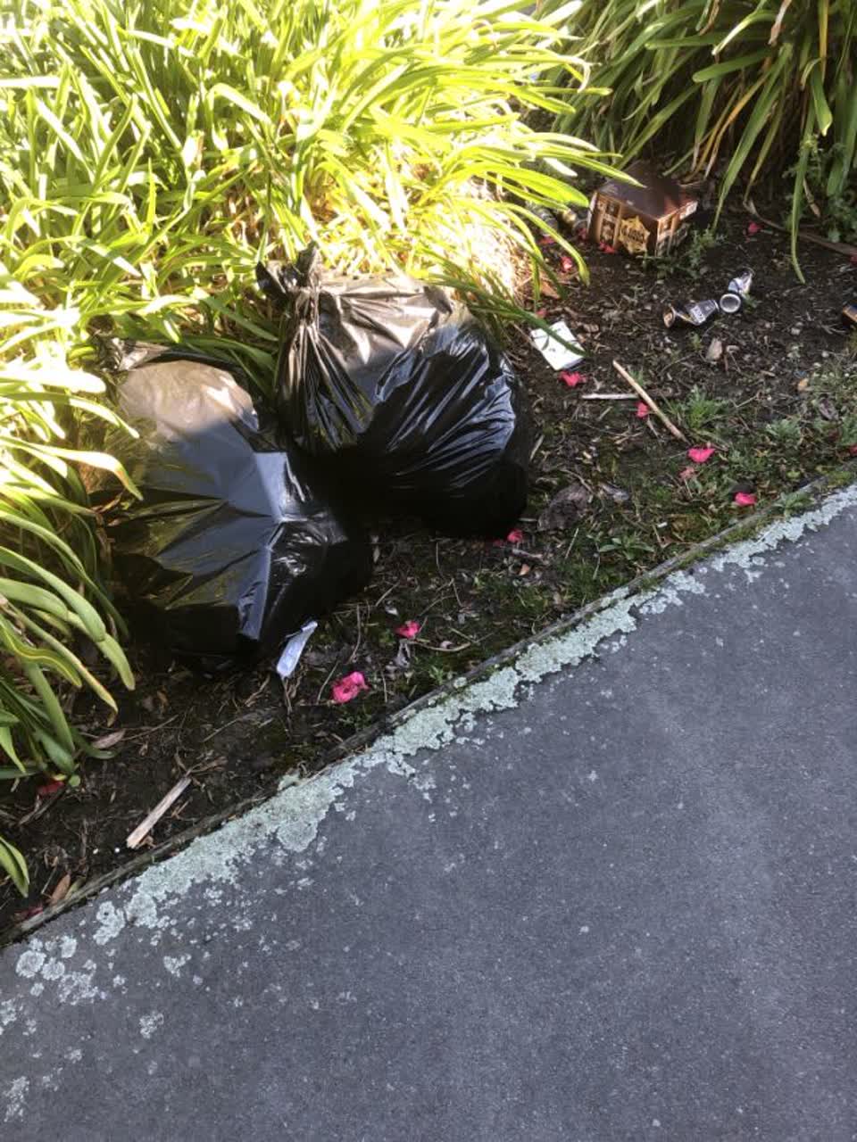 The photograph attached to this rubbish/recycling report
