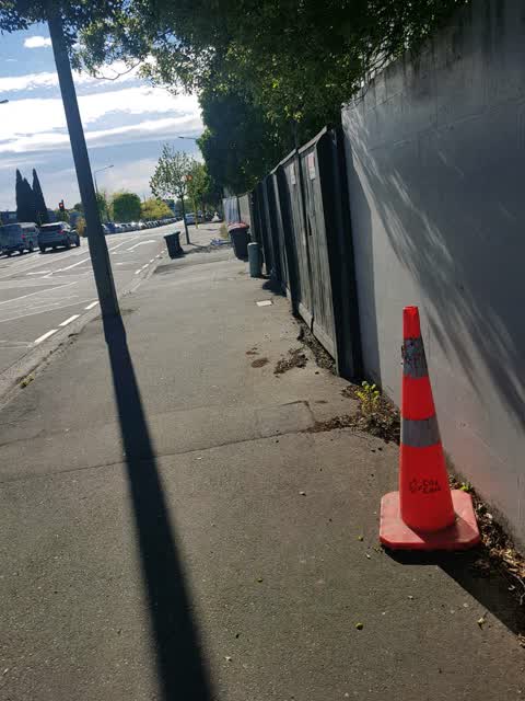 Roading/Streets, a report photo