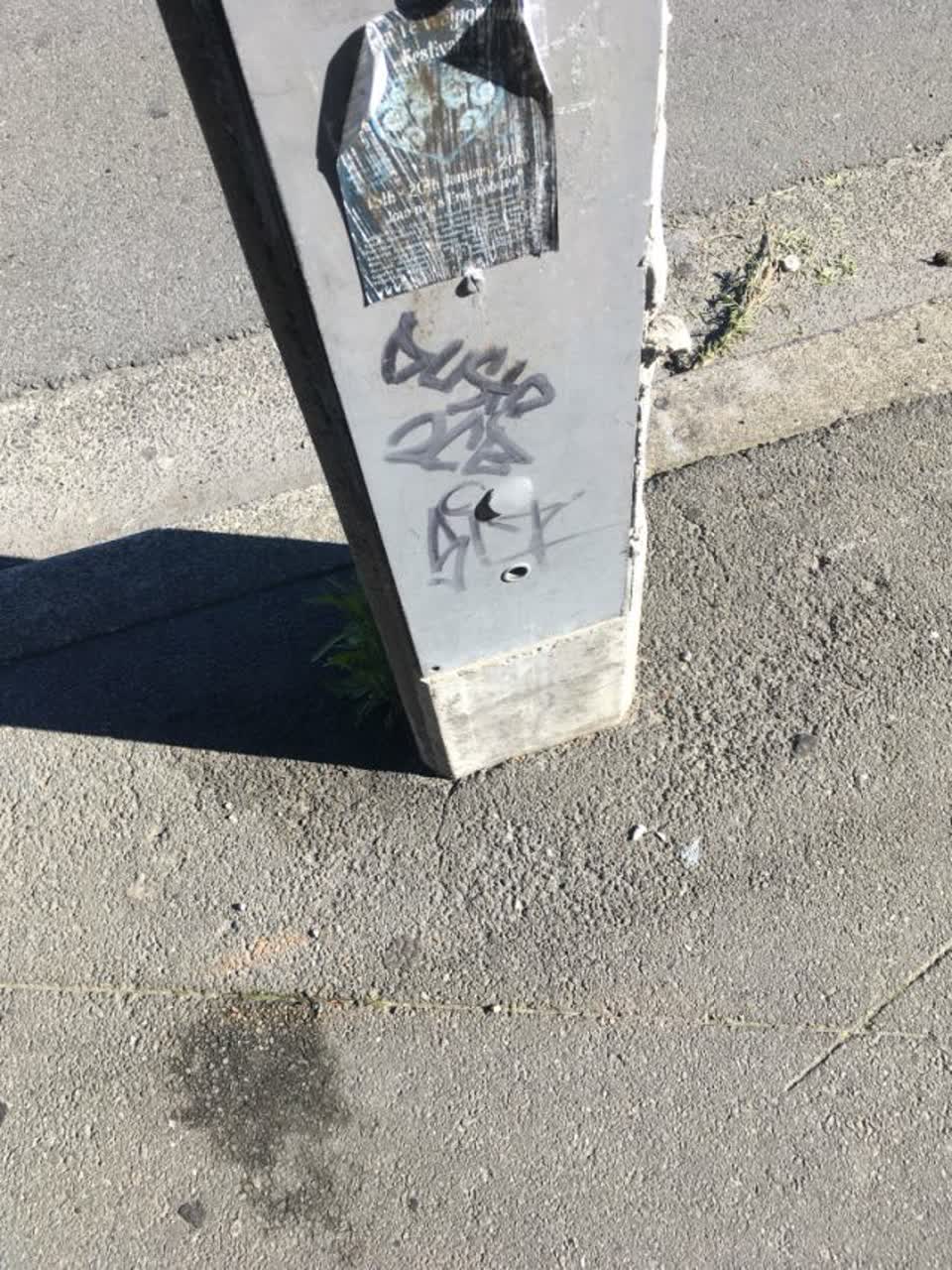 The photograph attached to this graffiti report
