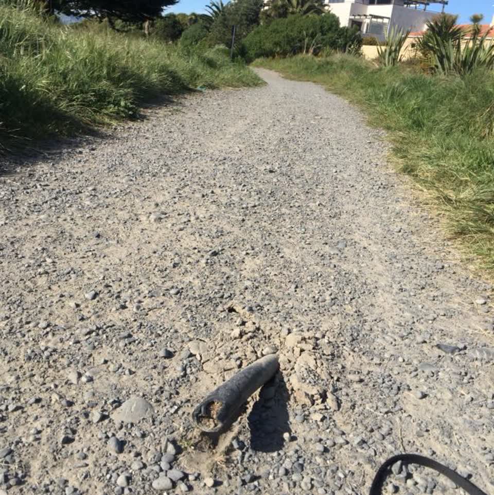The photograph attached to this parks report