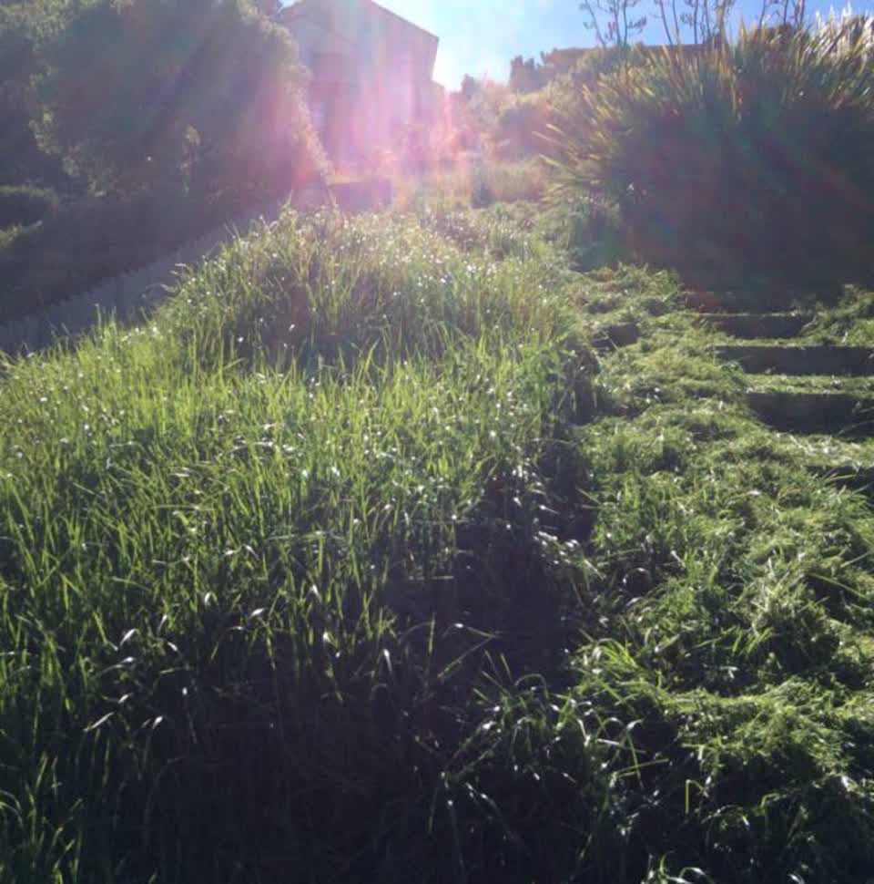 The photograph attached to this parks report