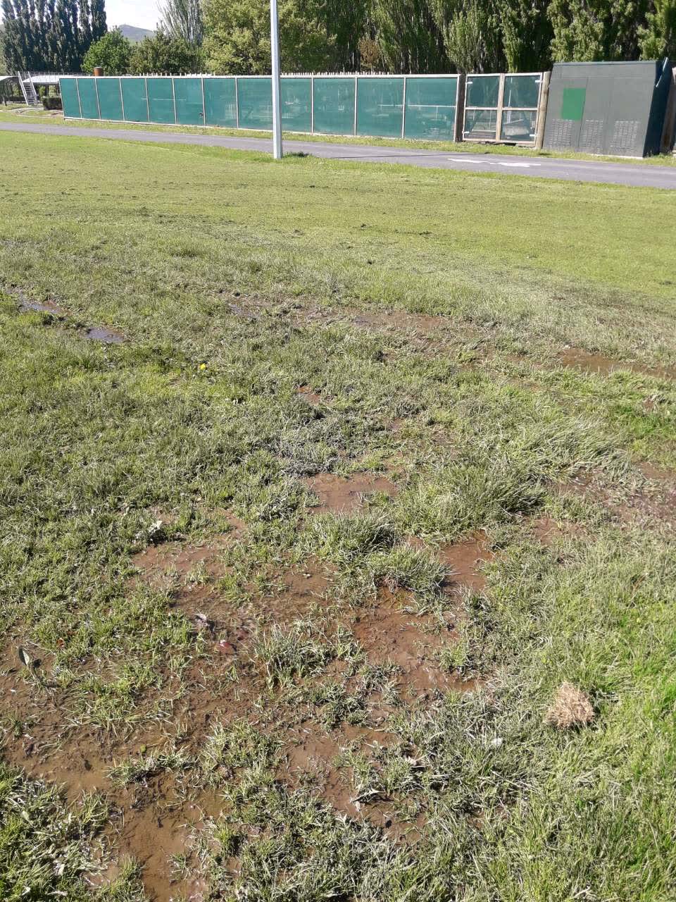 The photograph attached to this parks report