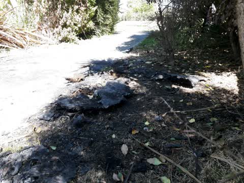 Parks, a report photo