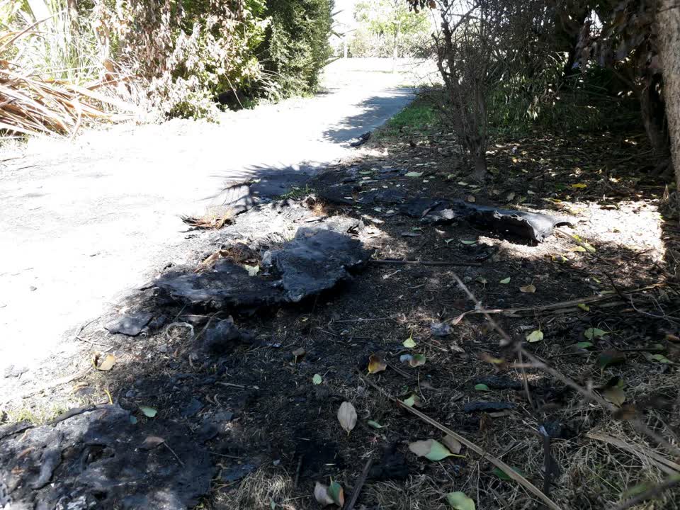 The photograph attached to this parks report