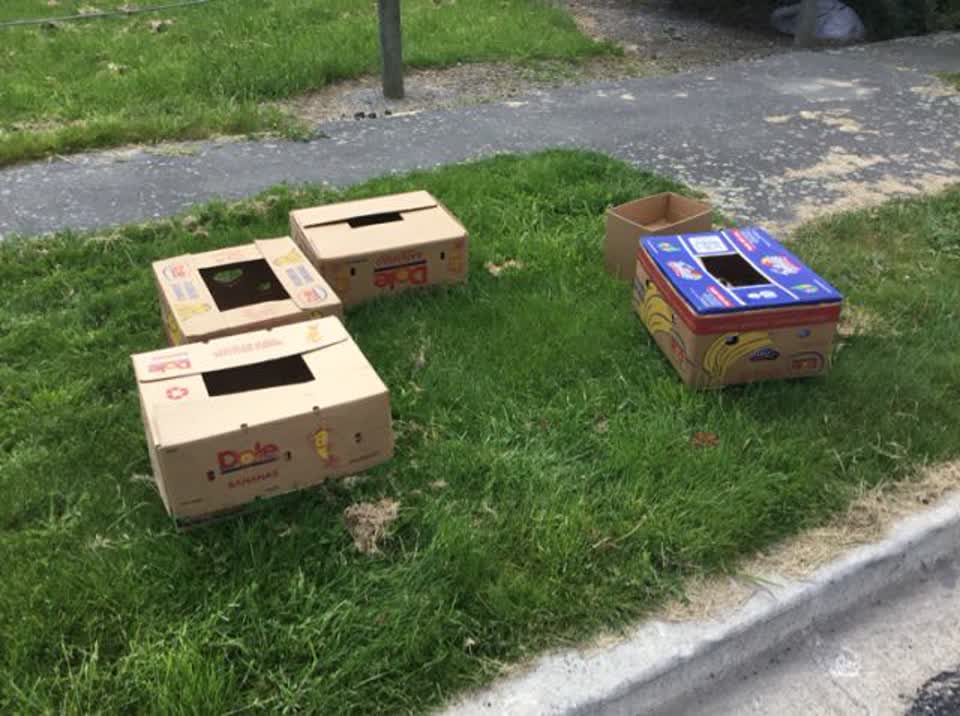 The photograph attached to this rubbish/recycling report