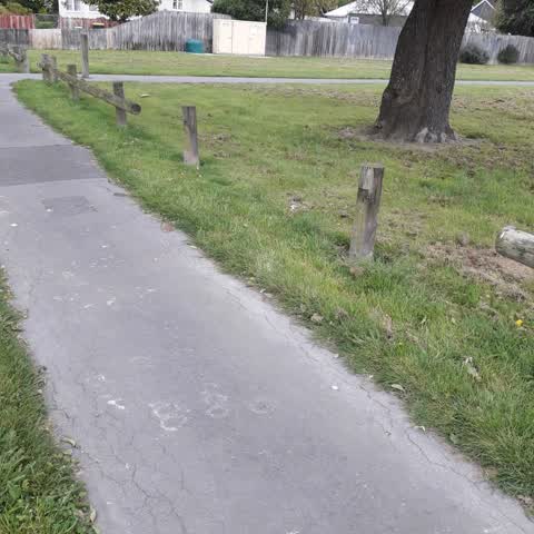 Parks, a report photo