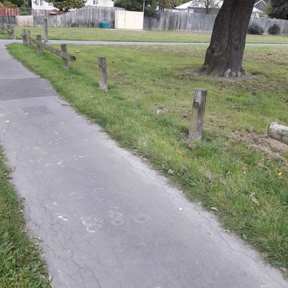 The photograph attached to this parks report