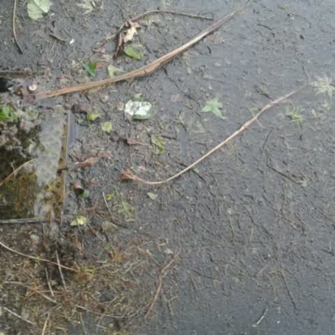 Wastewater/Stormwater — a report photo
