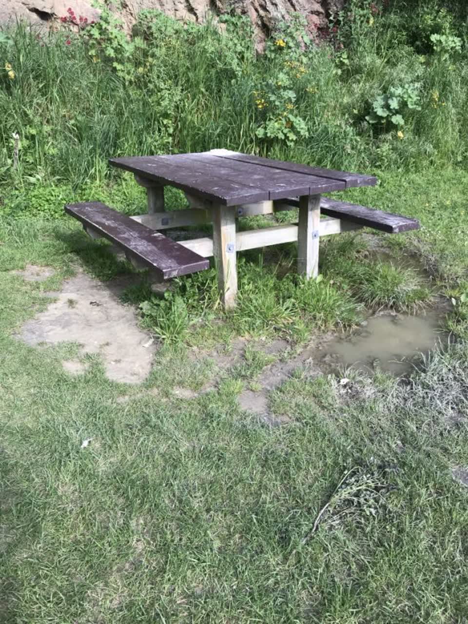 The photograph attached to this parks report