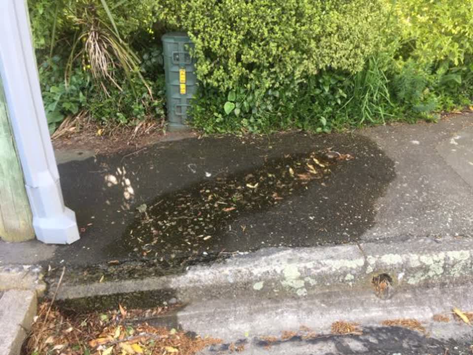 The photograph attached to this water supply report